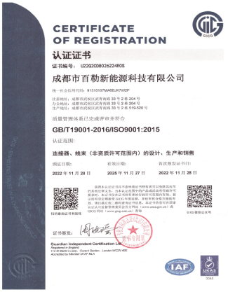 ISO 9001: 2015中文版